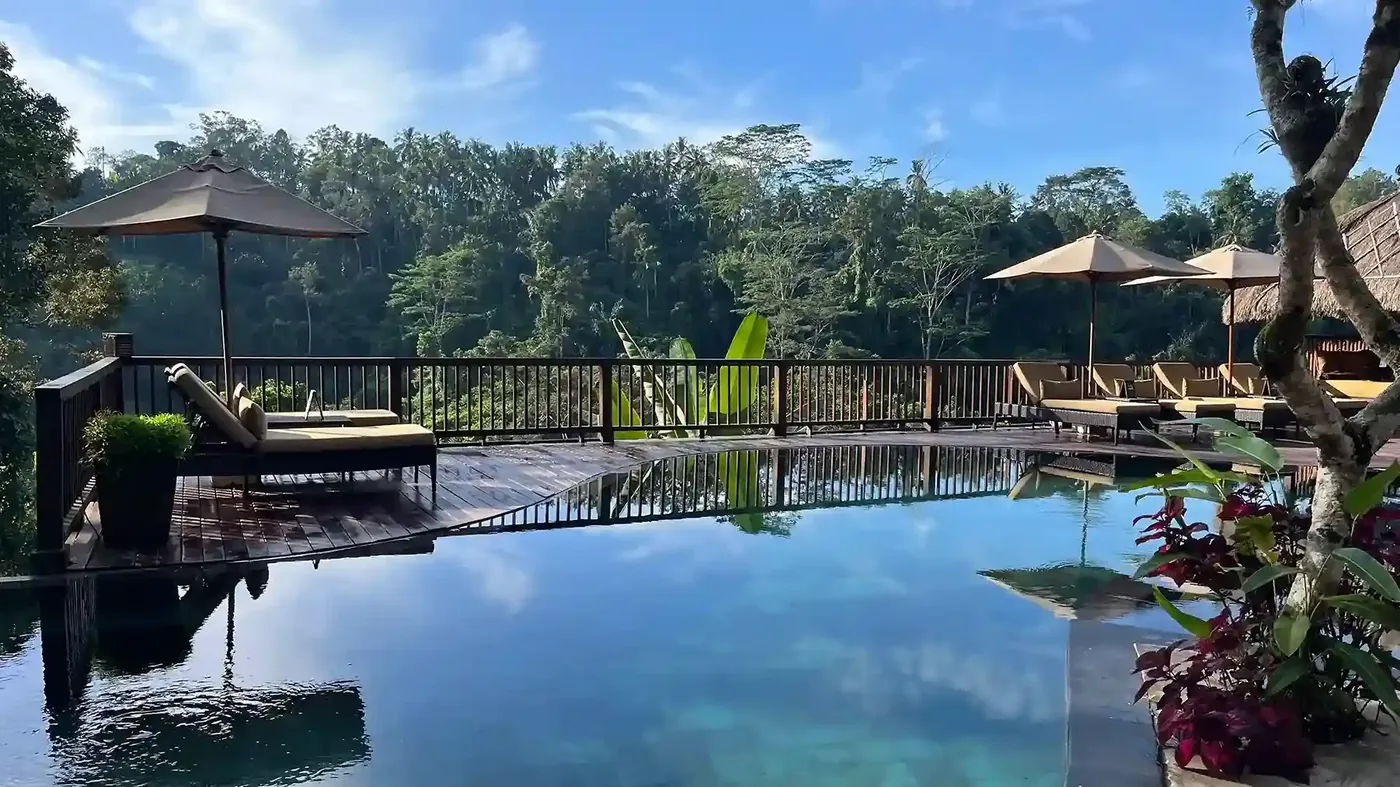 An infinity pool overlooking the jungle near Ubud